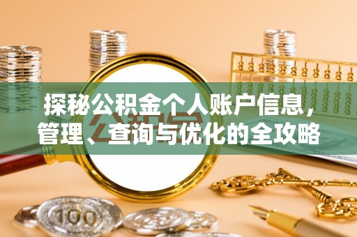 忻城探秘公积金个人账户信息，管理、查询与优化的全攻略
