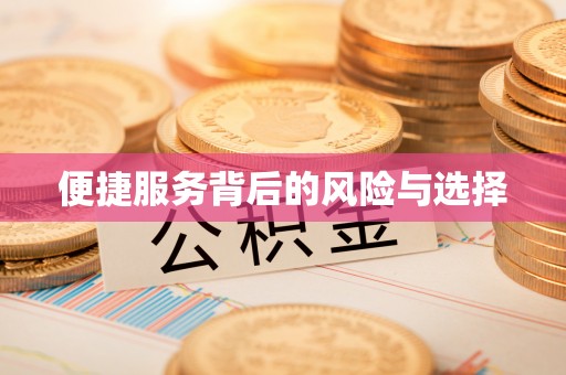 忻城便捷服务背后的风险与选择