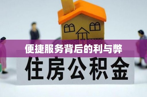 忻城便捷服务背后的利与弊