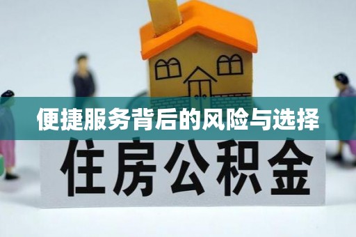 忻城便捷服务背后的风险与选择