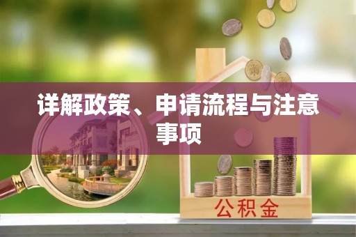 忻城详解政策、申请流程与注意事项
