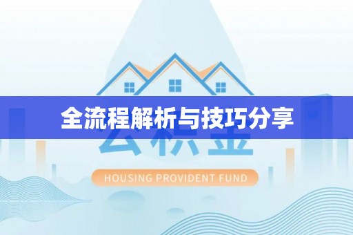 忻城全流程解析与技巧分享